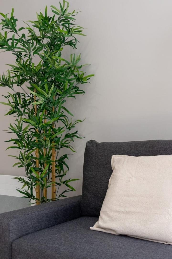 Hypercentre -Apartment In Pedestrian Zone Lille Luaran gambar